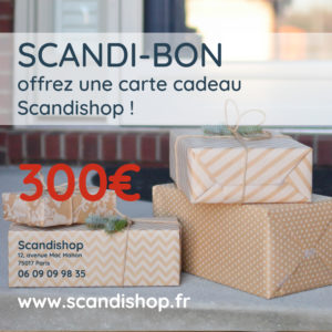 SCANDI-BON 300€